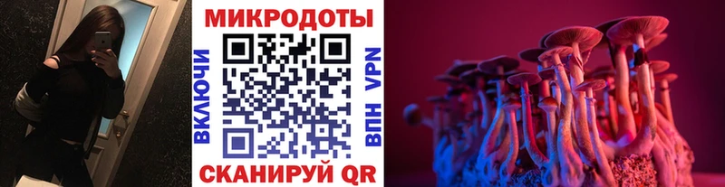 blacksprut как зайти  Орехово-Зуево  Псилоцибиновые грибы Psilocybe 